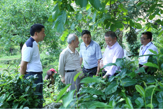 安康富硒茶引爆中國西部最牛茶專業(yè)展會(圖11)